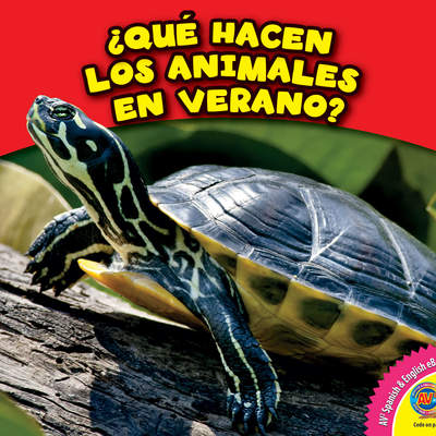 ¿Qué hacen los animales en verano?