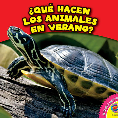 ¿Qué hacen los animales en verano?