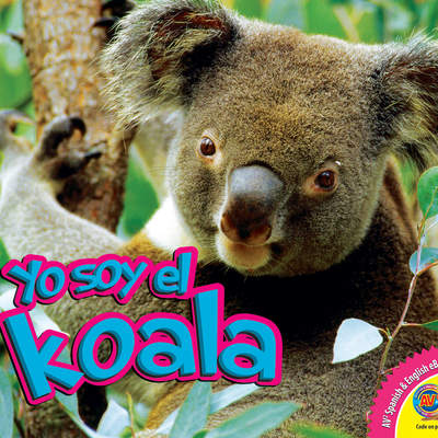 El koala