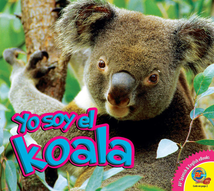 El koala