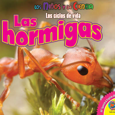 Las hormigas