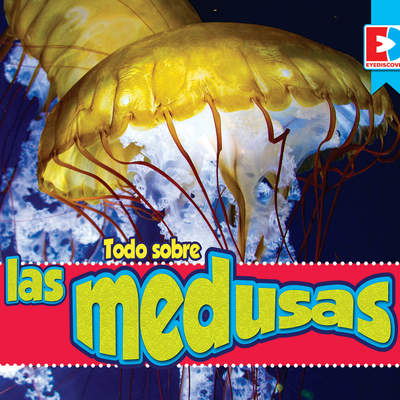 Todo sobre las medusas