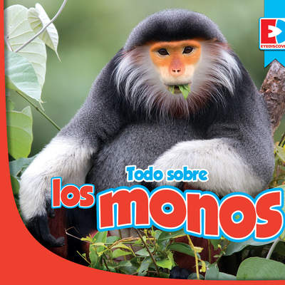Todo sobre los monos