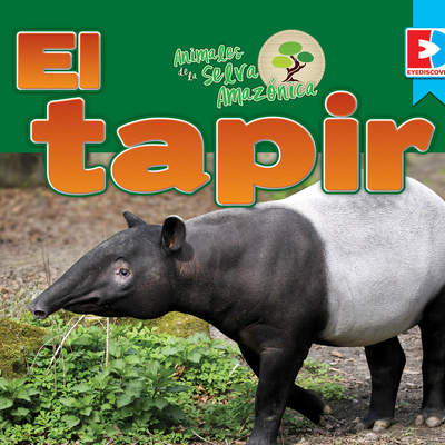 Animales de la Selva Amazónica — El tapir