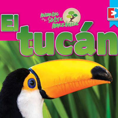 Animales de la Selva Amazónica — El tucán