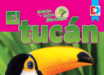 Animales de la Selva Amazónica — El tucán