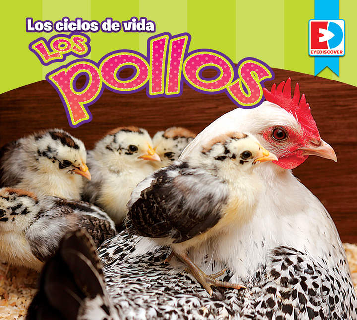 Los ciclos de vida — Los Pollos