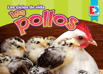 Los ciclos de vida — Los Pollos