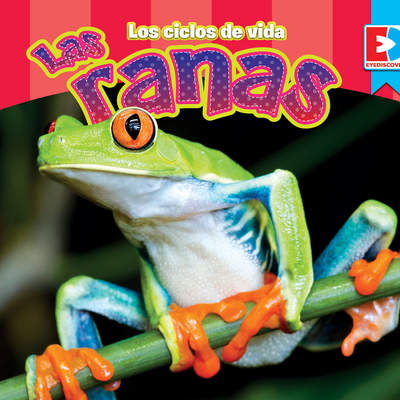 Los ciclos de vida — Las Ranas