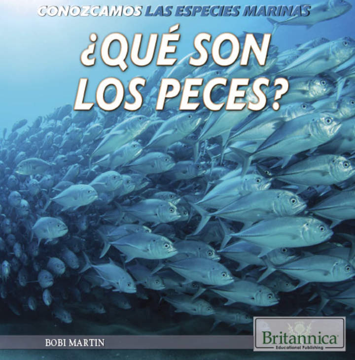 ¿Qué son los peces? (What Are Fish?)