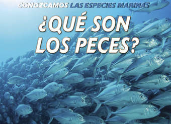 ¿Qué son los peces? (What Are Fish?)