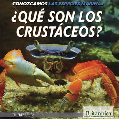 ¿Qué son los crustáceos? (What Are Crustaceans?)