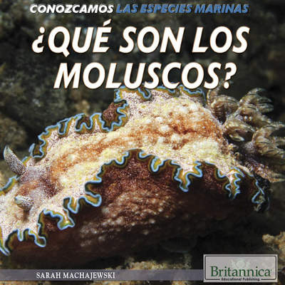 ¿Qué son los moluscos? (What Are Mollusks?)