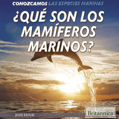 ¿Qué son los mamíferos marinos? (What Are Sea Mammals?)