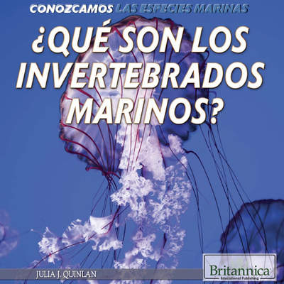 ¿Qué son los invertebrados marinos? (What Are Sea Invertebrates?)