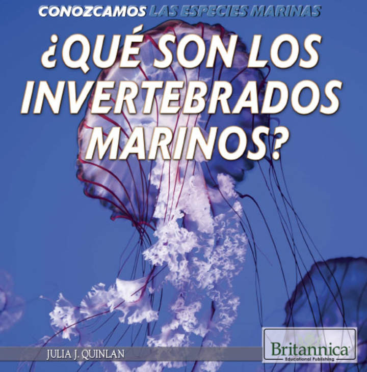 ¿Qué son los invertebrados marinos? (What Are Sea Invertebrates?)