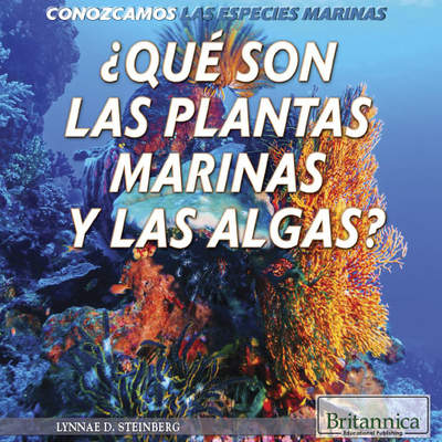 ¿Qué son las plantas marinas y las algas? (What Are Sea Plants and Algae?)