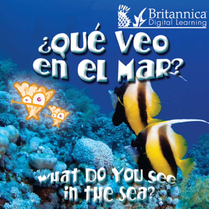 ¿Qué veo en el mar? (What Do You See, in the Sea?)