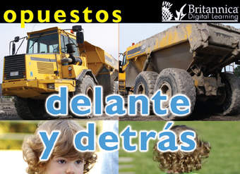 Opuestos: Delante y detrás (Opposites: Front and Back)