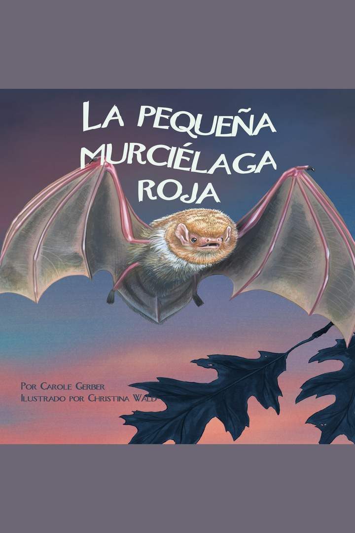 El pequeño murciélago rojo