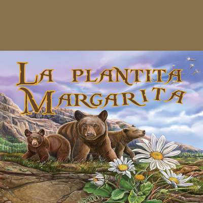 La plantita Margarita