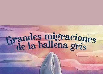 Grandes migraciones de la ballena gris