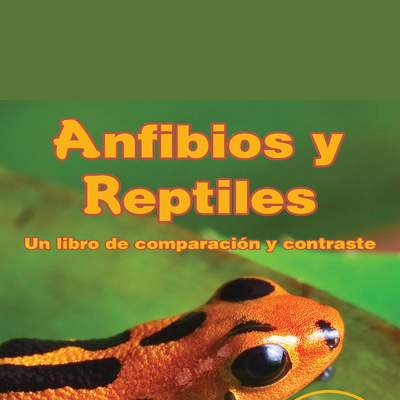 Anfibios y Reptiles