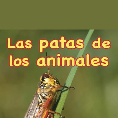 Patas de los animales