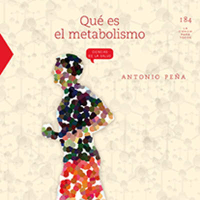 Qué es el metabolismo