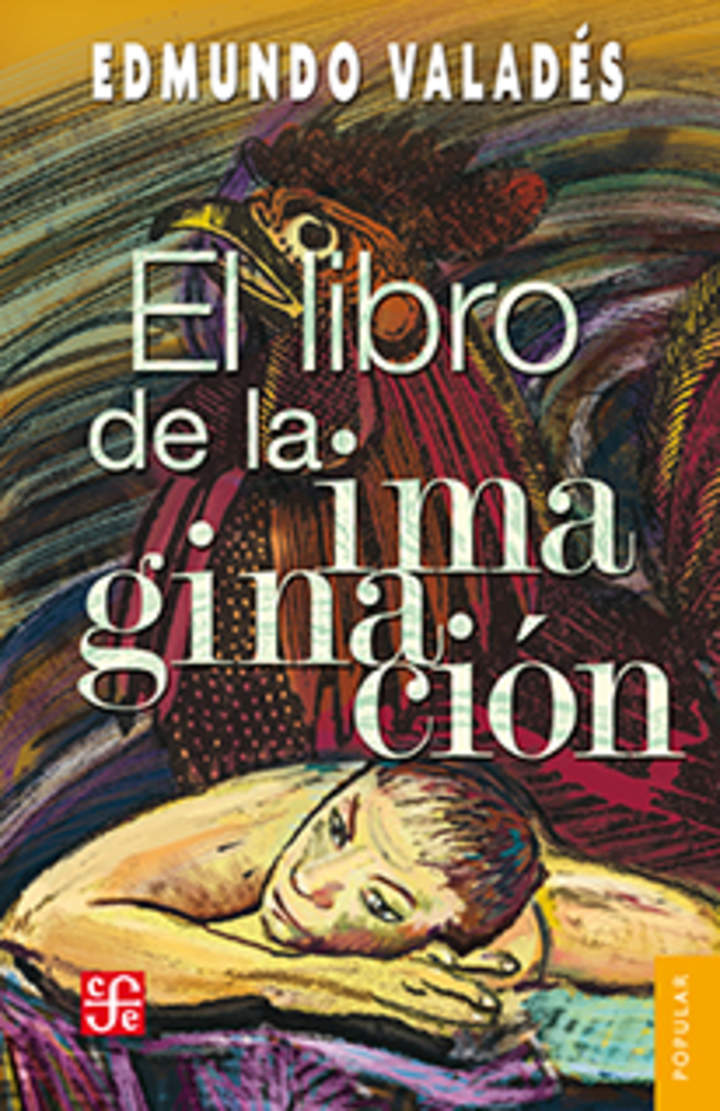 El libro de la imaginación