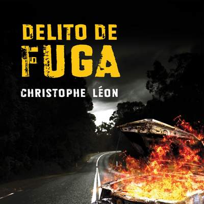 Delito de fuga