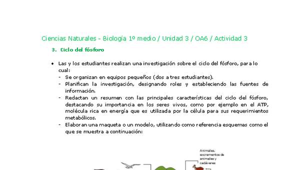 Ciencias Naturales 1 medio-Unidad 3-OA6-Actividad 3