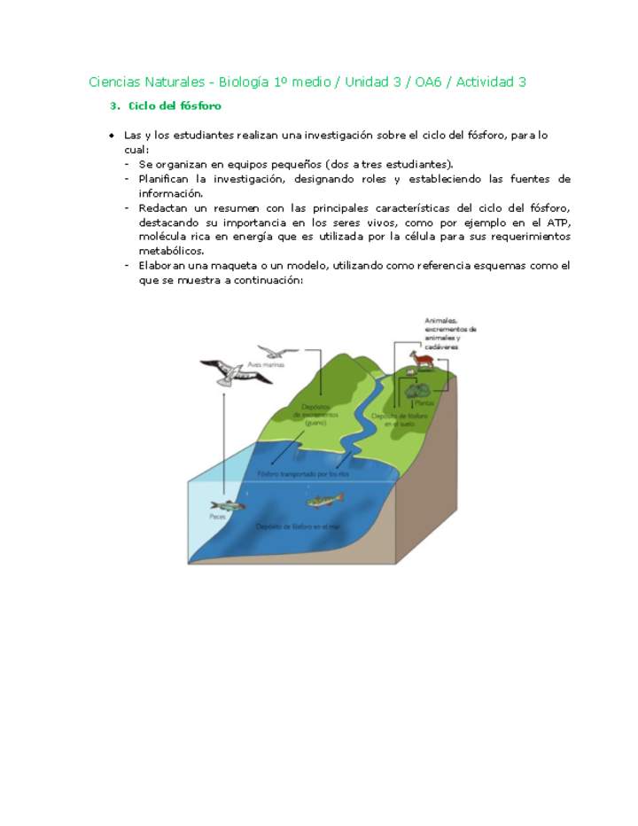 Ciencias Naturales 1 medio-Unidad 3-OA6-Actividad 3