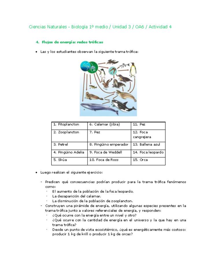 Ciencias Naturales 1 medio-Unidad 3-OA6-Actividad 4