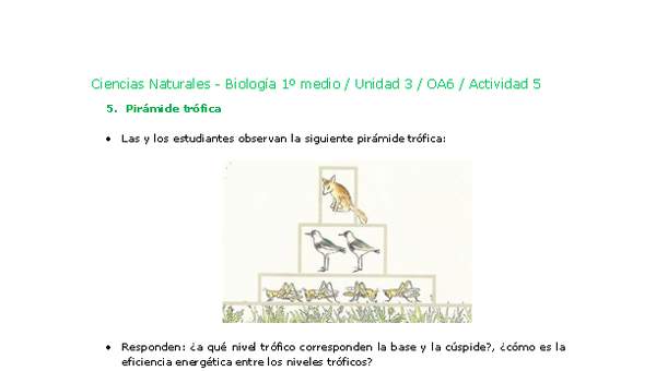 Ciencias Naturales 1 medio-Unidad 3-OA6-Actividad 5