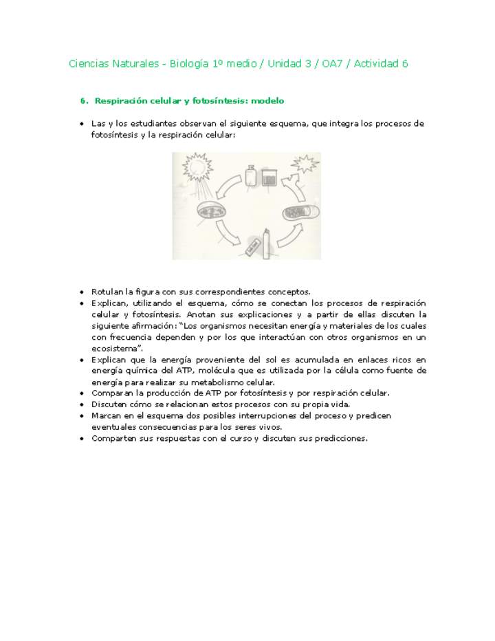 Ciencias Naturales 1 medio-Unidad 3-OA7-Actividad 6