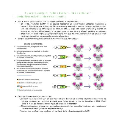 Ciencias Naturales 2 medio-Unidad 3-OA6-Actividad 11