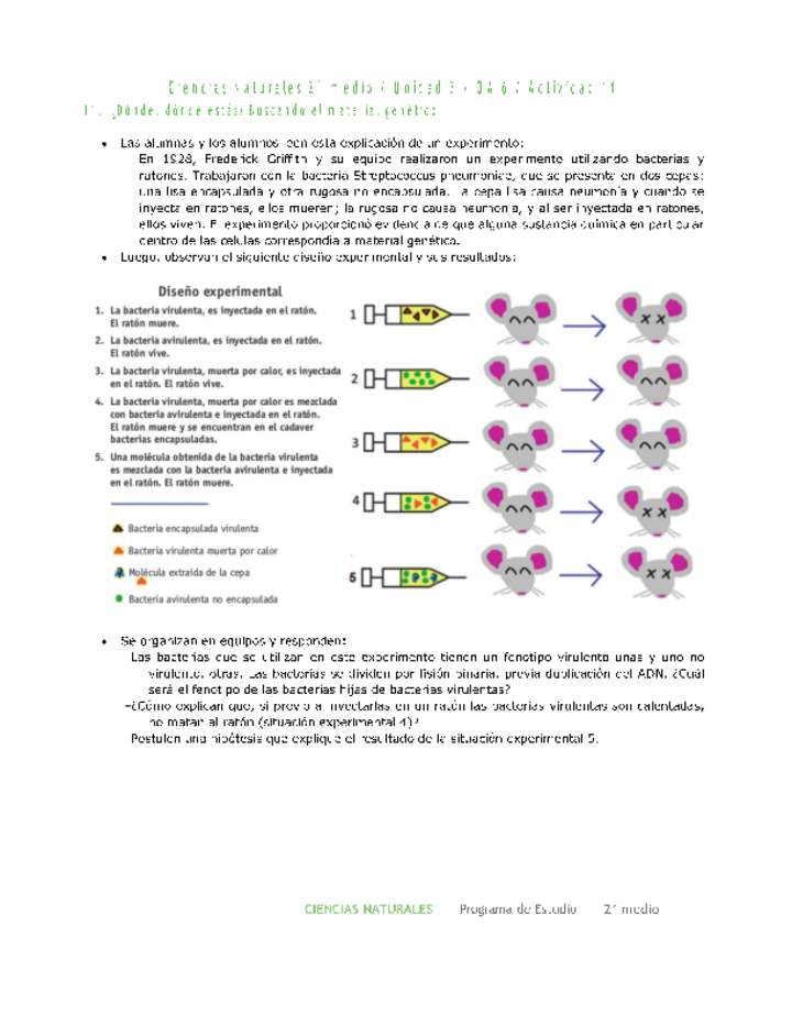 Ciencias Naturales 2 medio-Unidad 3-OA6-Actividad 11