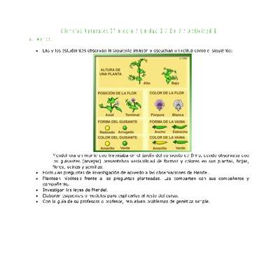 Ciencias Naturales 2 medio-Unidad 3-OA7-Actividad 8