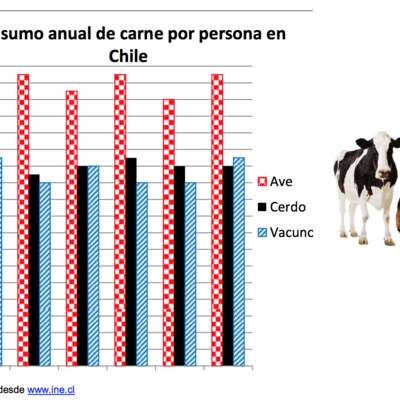 Gráfico