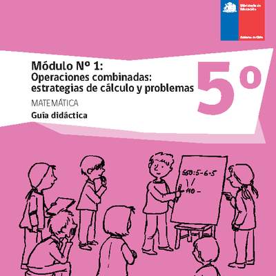 Guía didáctica: Módulo Nº 1. Operaciones combinadas: estrategias de cálculo y problemas