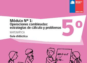 Guía didáctica: Módulo Nº 1. Operaciones combinadas: estrategias de cálculo y problemas