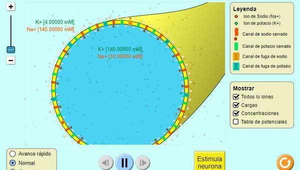 Neurona