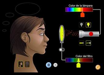 Visión del color