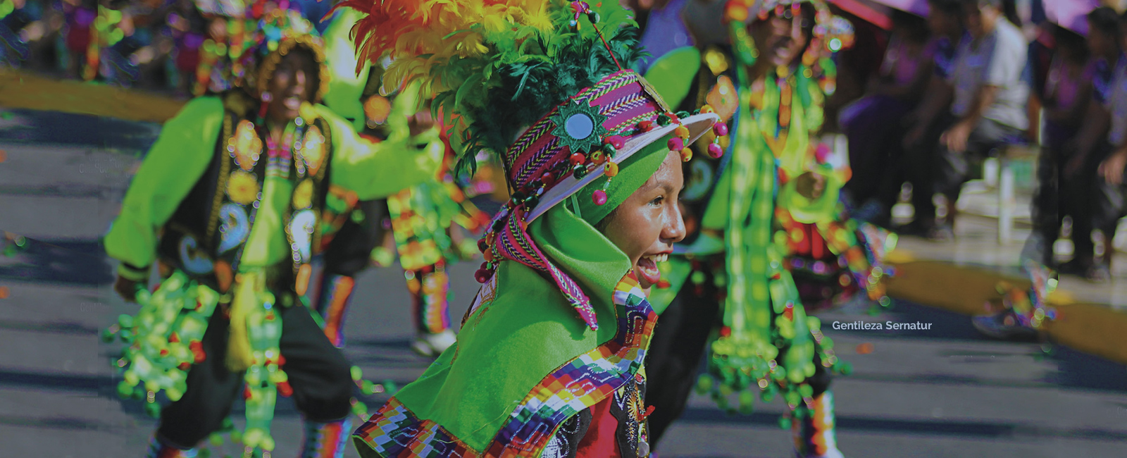 Lengua y Cultura de los Pueblos Originarios Ancestrales