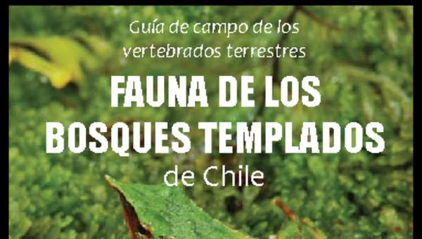 Guía de campo de los vertebrados terrestres. Fauna de los bosques templados de Chile