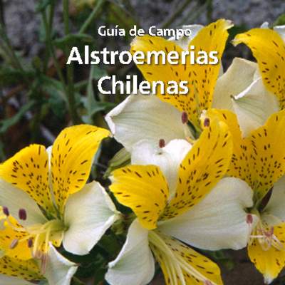 Guía de campo Alstroemerias chilenas