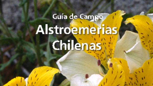 Guía de campo Alstroemerias chilenas