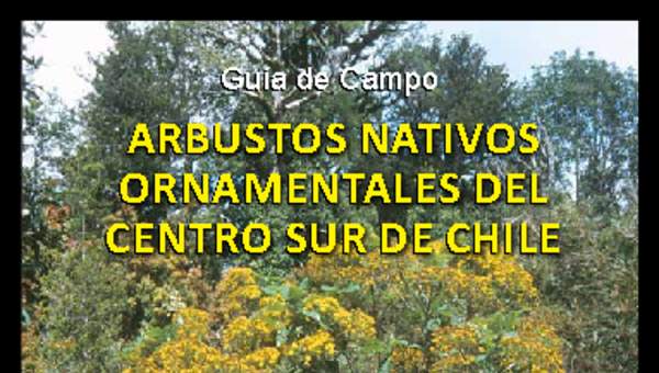 Guía de Campo Arbustos nativos ornamentales del centro sur de Chile