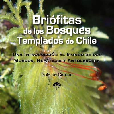 Guía de campo briófitas de los bosques templados de Chile - Una introducción al mundo de los musgos, hepáticas y antocerotes.